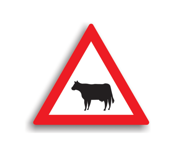 Animale – Domestice, indicatoare rutiere