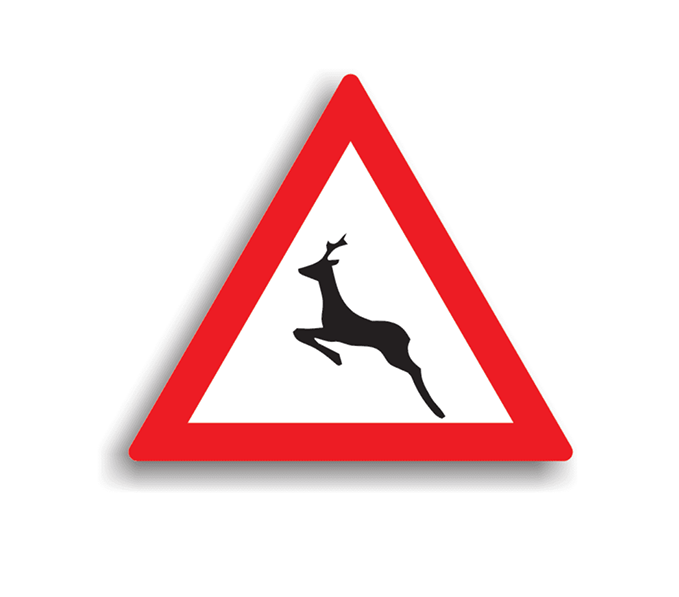 Animale – Salbatice, indicatoare rutiere